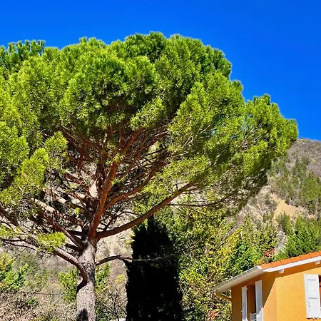 D'hotes - Le Pin Des Arches Bed & Breakfast Digne-les-Bains