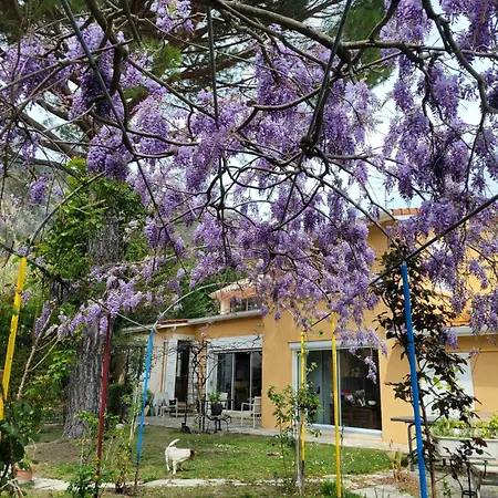 D'hotes - Le Pin Des Arches Bed & Breakfast *