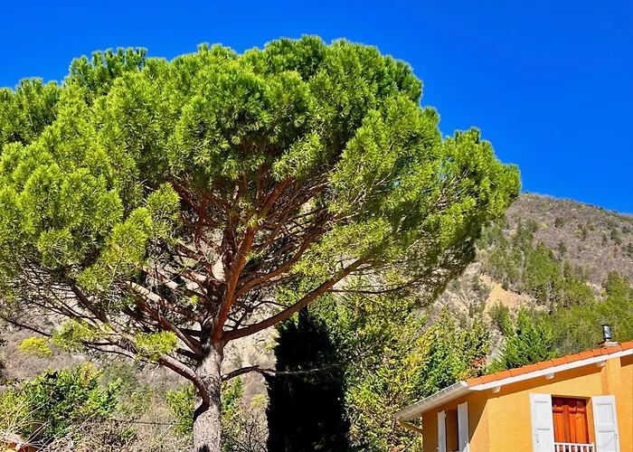 D'hotes - Le Pin Des Arches Bed & Breakfast Digne-les-Bains