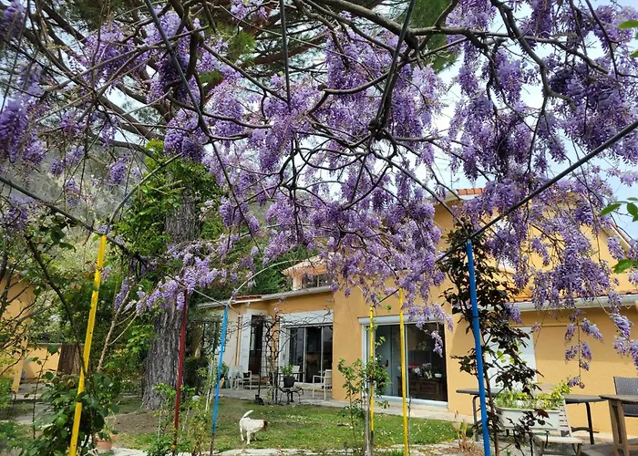 D'hotes - Le Pin Des Arches Bed & Breakfast 3*